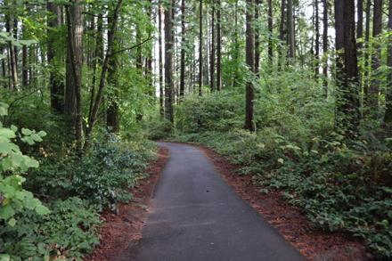 Main trail is paved passing through trees and open areas